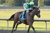 Waggley wins the 2026 Prairie Gold Juvenile Stakes at Prairie Meadows