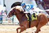 Banishing wins the 2026 Jeff Hall Memorial Stakes