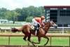 Crazy Hot Mess, Maiden Win, July12 2026, Ellis Park