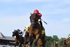 Twenty Six Black wins the Harvey Pack Stakes Sunday, July 5, 2026 at Saratoga Race Course