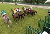 Program Trading ridden by Flavien Prat won the $500,000 United Nations Stakes at Monmouth Park Racetrack in Oceanport, NJ on Saturday July 18, 2026. Photo By Ryan Denver/EQUI-PHOTO