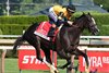 Counting Stars wins the 2026 Coaching Club American Oaks at Saratoga Race Course