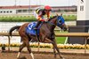 Maximum Offer (Maxfield- No Better Terms by Pure Prize) wins the Indiana Oaks (Gr.III) with Luis Saez for Kenny McPeek.