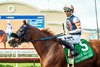Jockey Hector Berrios guides Gold Phoenix to the winner's circle after their victory in the Grade II $250,000 Eddie Read Stakes Sunday, July 26, 2026 at Del Mar Thoroughbred Club, Del Mar, CA.
Benoit Photo