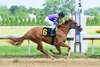 Box Office Hit, Maiden Win, July 2 2026, Thistledown
First winner for Idol