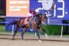 Magnitude wins the 2026 Dubai World Cup at Meydan Racecourse