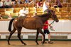 Lot 765 Sea Force (IRE) 2022 B.G. BY Sea The Stars (IRE) EX Pretty Baby (IRE) 103 HIT Somerville Lodge Ltd. (W. Haggas), Agent JS Bloodstock 170,000
Tattersalls July Sale
09JUL26