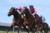 Zulu Kingdom (IRE), inside, and Mi Bago to win the Kelso Stakes in a dead heat Sunday, July 5, 2026 at Saratoga Race Course