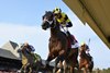 Maida wins the Honorable Miss Stakes on Sunday, July 26, 2026 at Saratoga Race Course