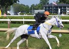 White Abarrio (Irad Ortiz Jr. up) works outside of stablemate Midtown Lights covering a quarter-mile in 46.68 Sunday, July 26, 2026 at Saratoga Race Course