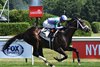 Liam's Law, Maiden Win, July 12 2026, Saratoga Race Course
First winner for Colonel Liam