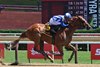 My Gun's Loaded, AOC, July 24 2026, Saratoga Race Course