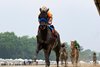 Splendora ridden by Flavien Prat won the $500,000 Grade II Molly Pitcher Stakes at Monmouth Park Racetrack in Oceanport, NJ on Saturday July 18, 2026. Photo By Ryan Denver/EQUI-PHOTO