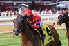 Twenty Six Black wins the 2026 Harvey Pack Stakes at Saratoga Race Course