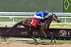Hot Rod Honey wins the 2026 Sharp Susan Stakes at Gulfstream Park