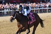Built wins the 2026 Alfred G. Vanderbilt Stakes at Coglianese Photos/Chelsea Durand