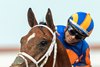 Multiple stakes-winner Journalism and jockey Umberto Rispoli, right, win the Grade II $300,000 San Diego Handicap Saturday, July 18, 2026 at Del Mar Thoroughbred Club, Del Mar, CA. The well-traveled son of Curlin is trained by Michael McCarthy and owned by Eclipse Thoroughbred Partners, Bridlewood Farms, Don Alberto Stable, et al..
Benoit Photo