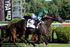 Learntodiscover (GB) wins the 2026 Quick Call Stakes at Saratoga