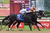 Local Knowledge wins the 2026 Amsterdam Stakes at Saratoga Race Course