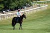 Blue Bolt (Colin Keane) after the Falmouth Stakes
Newmarket 10.7.26 Pic: Edward Whitaker