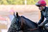 Golden Tempo and Jose Ortiz after the DraftKings Travers Stakes (G1) at Saratoga Race Course in Saratoga Springs, NY., on Aug. 29, 2026.