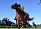 Evershed wins the 2026 Waya Stakes at Saratoga Race Course