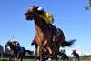 Evershed wins the 2026 Waya Stakes at Saratoga Race Course