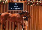 2026 Arqana August Yearling Sale, Lot 42
