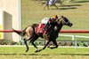 Proletariat and jockey Kyle Frey win the Grade II $300,000 Caesars Sportsbook Del Mar Derby Sunday August 23, 2026 at Del Mar Thoroughbred Club, Del Mar, CA. The three-year-old son of Raging Bull is owned by Dutch Girl Holdings LLC and Irving Ventures LLC and trained by Jeff Mullins.
Benoit Photo