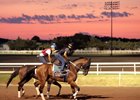 Remington Park - Morning Scenics - 08-11-26