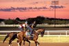 Remington Park - Morning Scenics - 08-11-26