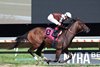 Emphatic #8 with Edwin Gonzalez riding won the $100,000 Sorority Stakes for Two-Year-Old Fillies at Monmouth Park Racetrack in Oceanport, NJ. on Saturday 8/29/26. Photo By Bill Denver/EQUI-PHOTO