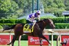 Englishman with Jose Ortiz wins the H. Allen Jerkens Memorial Stakes (G1) at Saratoga Race Course in Saratoga Springs, NY., on Aug. 29, 2026.