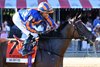 Survie (IRE) wins the 2026 Christophe Clement Turf Stakes at Saratoga Race Course