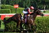 Glacius wins the 2026 Saratoga Derby Stakes at Saratoga Race Course