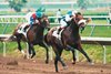 Dare and Go passes Cigar, ending his win streak at 16 in the 1996 Pacific Classic
