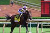 Englishman with Jose Ortiz wins the H. Allen Jerkens Memorial Stakes (G1) at Saratoga Race Course in Saratoga Springs, NY., on Aug. 29, 2026.