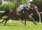 Proctor Street wins the 2026 Canadian Stakes at Woodbine