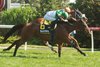 Proctor Street wins the 2026 Canadian Stakes at Woodbine