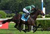 Bottas wins the 2026 National Museum of Racing Hall of Fame Stakes at Saratoga Race Course
6th win on the day for Manny Franco