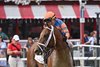 Renegade wins the 2026 Jim Dandy Stakes at Saratoga Race Course