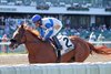 La Resolana ridden by Jockey Paco Lopez won the $75,000 Eleven North Handicap at Monmouth Park Racetrack in Oceanport, NJ on Sunday August 23, 2026. Photo By Ryan Denver/EQUI-PHOTO