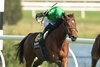 Proctor Street wins the 2026 Canadian Stakes at Woodbine