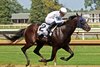 Owen Almighty wins the 2026 R.A. "Cowboy" Jones Stakes at Ellis Park