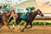 Eunomia and jockey Micah Husbands, right, outleg Om N Joy (Kent Desormeaux), left, to win the Grade I, $400,000 Clemnt L. Hirsch Stakes, Saturday, August 1, 2026 at Del Mar Thoroughbred Club, Del Mar CA.
© BENOIT PHOTO