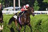Glacius wins the 2026 Saratoga Derby Stakes at Saratoga Race Course