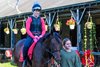 Pros and Cons, 2yo Justify filly running soon at Saratoga.
Saratoga scenes at Saratoga Race Course in Saratoga Springs, N.Y., on August 26, 2026.