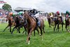 Bacio (Juan Hernandez) wins the Nunthorpe Stakes
York 21.8.26 Pic: Edward Whitaker