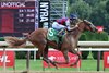 Forever Carina, Maiden Win, August 22 2026, Saratoga Race Course
Full sister to Always a Runner