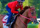 The Puma
Saratoga scenes at Saratoga Race Course in Saratoga Springs, N.Y., on August 26, 2026.